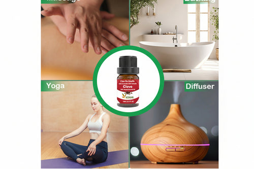 Clove Bud Essential Oil. 10ML