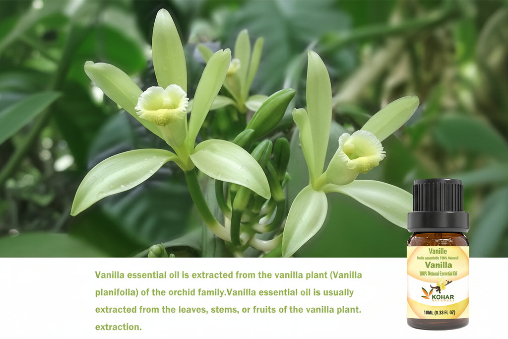 Vanilla Essential Oil. 10ML