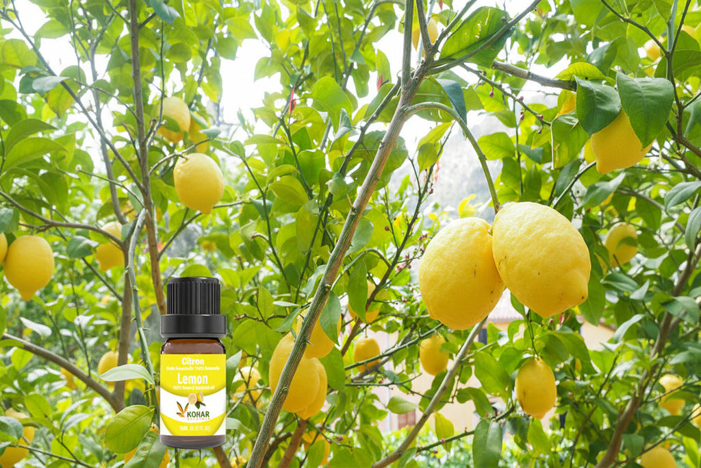 Lemon Essential Oil. 10ML