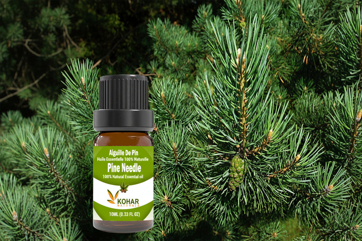 Pine Scotch Essential Oil. 10ML