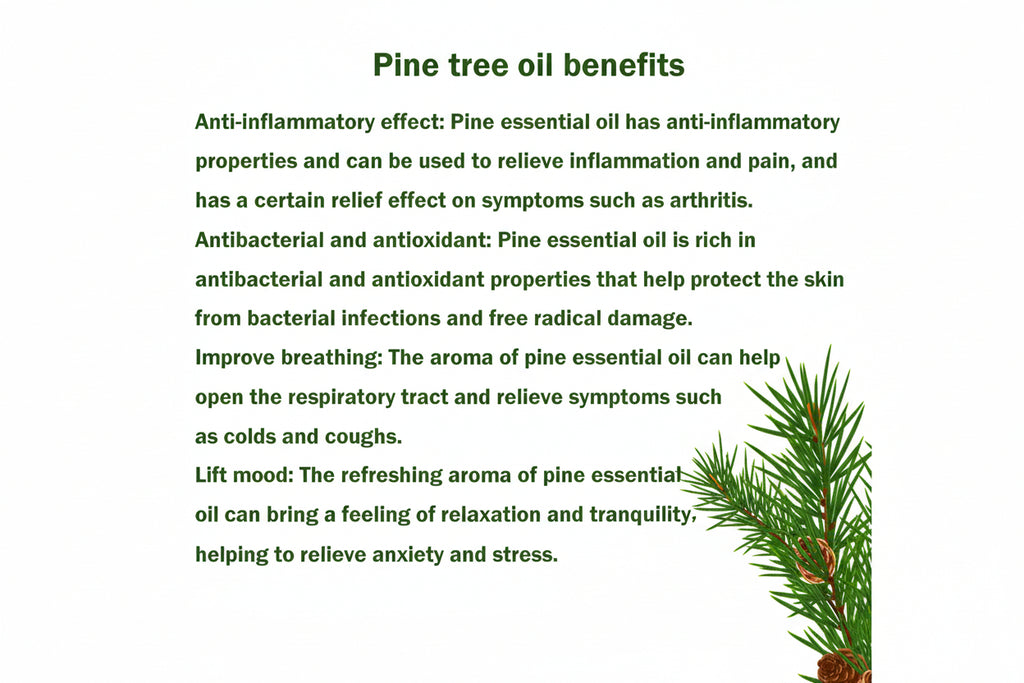 Pine Scotch Essential Oil. 10ML