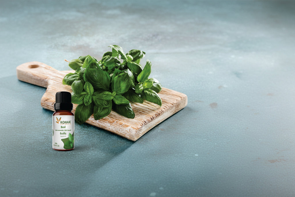 Basil Essential Oil. 10ML