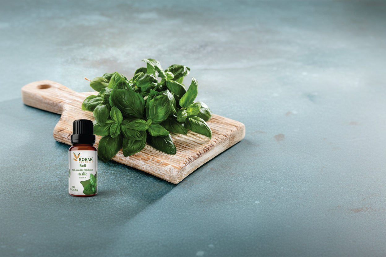 Basil Essential Oil. 10ML
