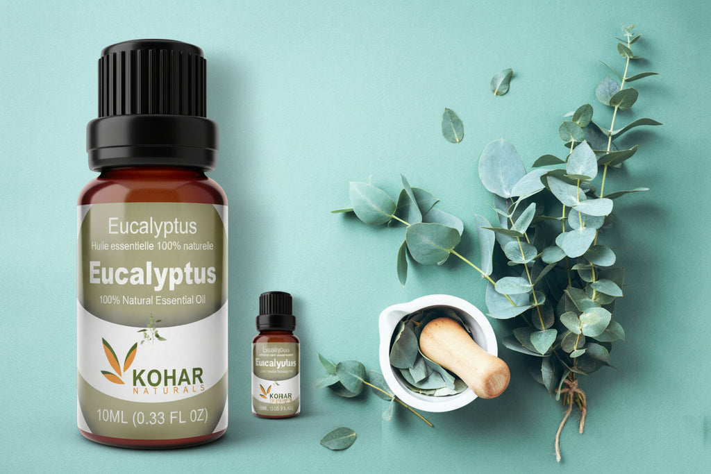 Eucalyptus Essential Oil. 10ml